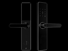 青松沃德-Wi-Fi 指紋鎖家用防盜門智能門鎖密碼鎖刷卡電子鎖 防磁干擾 防撬 L9-WT (不含鎖體，鎖體需另購）